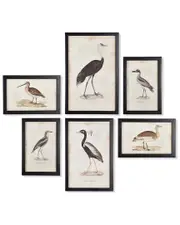 Napa Home & Garden Set of 6 Waterfowl Gallery NoSize NoColor