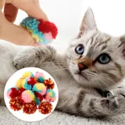 15Pcs Toys Cat Chew Cat Balls Toy Cat Toys Without Indoor Cats Playing