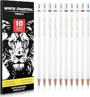 White Charcoal Pencils Set, Professional 10 Pieces White Chalk Pencils Sketch Pencil for Drawing, Sketching, Shading, Blending, Ideal for Beginners & Artists