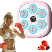 Catzon Bluetooth Music Boxing Equipment with Gloves for Home Gym