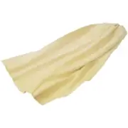 Auto Spa 4 Sq Ft Chamois