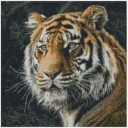 Tiger Close up Counted Cross Stitch Kits, 14ct 150x150 Stitch,37x37cm Cotton Tiger Counted Cross Stitch Kits