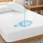 Zippered Mattress Encasement Waterproof Bed Bug Mattress Protector Cover Pad