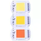 50W LEDs Floodlights Lighting COB Chip 220V Input Integrated Smart IC Drivers