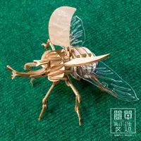 在飛比找蝦皮購物優惠-【簡單製造】DIY可動昆蟲系列｜小型獨角仙_木製可動積木互動