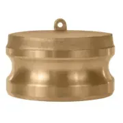 Gloxco Brass 1" Cam and Groove Dust Plug, Type DP Fitting (CAM-10-DP-BR)