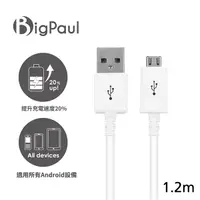 在飛比找蝦皮商城優惠-【Big Paul 】Micro USB 2.0 快速充電傳