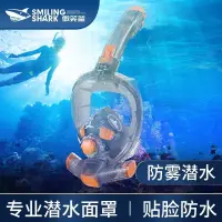 在飛比找蝦皮購物優惠-浮潛面罩潛水鏡成人防水防霧潛水面罩全干式呼吸器套裝游泳裝備