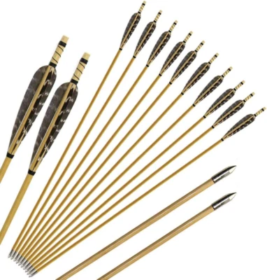 12 Pcs Turkey Feather Fletching Wooden Target Arrows with Field Points for Recur