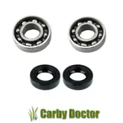 PAIR OF CRANKSHAFT BEARINGS WITH OIL SEALS FOR STIHL MS180 MS170 MS171 MS181 CHA