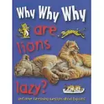 WHY WHY WHY ARE LIONS LAZY?