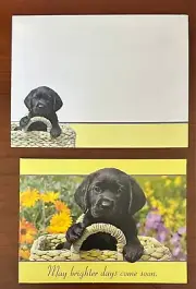 Get Well Soon Greeting Card + Matching Envelope - Puppy