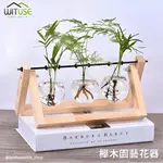 【櫸木園藝花器】透明花瓶玻璃水培植物白楓木架 水養燈泡種植機 復古櫸木園藝花盆插花容器 DIY桌面裝飾擺設 三入高硼玻璃