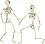 XONOR Halloween Skeleton Full Body Posable Joints Skeletons, 3ft Plastic
