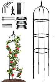 Garden Plant Obelisk Trellis for Climbing Vines and Flowers