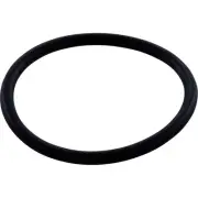 Upper WMS to Vactube O-Ring, Zodiac/Polaris 3900 : R0544000