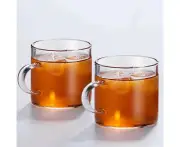 Sturdy Glass Coffee Cup Set With Handles