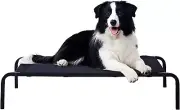 Portable Raised Cooling Pet Bed Steel-Framed Dog Cot, Indoor/Outdoor Use, Medium