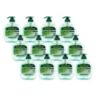 12PK Palmolive 250ml Liquid Handwash w/ Pump Anti-bacterial Soap Sea Minerals
