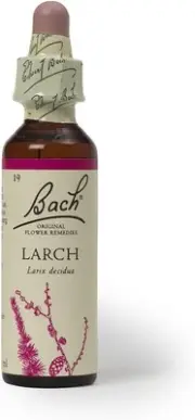 Bach Original Flower Remedies, Larch - Have Confidence - Natural Homeopathic Flo