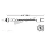 PAT Oxygen/Lambda Sensor Pre-Catalytic Converter/Manifold - EGO-775