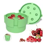 Cherry Pitter - 6 in1 Multiple Cherry Seed Remover, Labor-Saving Mint Green