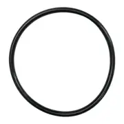 Jandy (R0452100/R0449200) Universal Union 3 Port Cell Replacement O-Ring | O-244