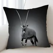 Black and White Wild Antelope Cushion Cover