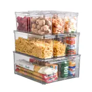 Catzon 10 Pcs Fridge Organizer Bins with Lids Stackable for Fruits Vegetable-B