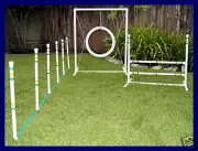 SMALL DOG AGILITY - YORKIE PAPILLON MALTESE SHIH TZU