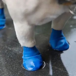 【現貨】寵物雨鞋 法鬥狗狗鞋子 防水防雨狗狗鞋子 防感染狗狗鞋子 防脫落 防髒狗狗防水鞋 硅膠狗狗雨鞋 雨天狗狗腳套