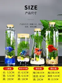 在飛比找樂天市場購物網優惠-買一送一 生態瓶魚微景觀免換水斗魚瓶生態魚瓶水族寵物斗魚活體