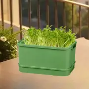 Seed Sprouts Tray Mini Greenhouse Nursery Tray Multipurpose Effortlessly Double