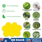 _ 10pcs Pest Insects Killer Dual-Sided Yellow Sticky Fly Traps Fungus Gnat Traps