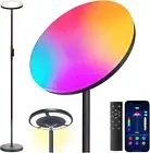 Multicolor and White Light Floor Lamp,Smart App Modern Double Side Lighting