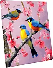 Maomaomi Wooden Framed Paint by Numbers DIY Acrylic Painting Kit for Kids & Adults Beginner – 16" Wx12 L Color Bird Pattern
