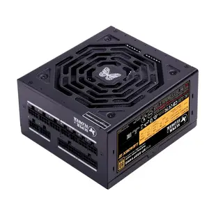 振華 LEADEX III 850W 金牌 全模組 電源供應器