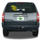 Massachusetts Sports Trio - Bruins, Red Socks, Patriots Custom Vinyl Decal