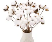 20pcs Cotton Stems, Fake Cotton Flowers Dried Cotton Picks Stalks Plants, Farmhouse Decorations for Vase Home Decor