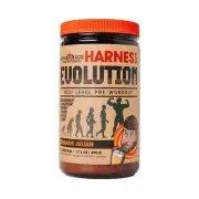 Evolution Next Level Pre-Workout by Arms Race Nutrition