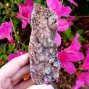 Fossilized Agate shell Cluster druzy natural crystal healing gemstone - #14A