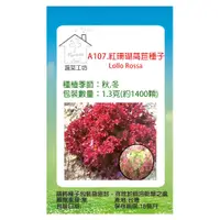 在飛比找PChome24h購物優惠-【蔬菜工坊】A107.紅珊瑚萵苣種子