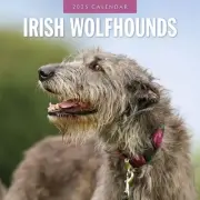 Red Robin Publishing, Irish Wolfhounds 2025 Wall Calendar