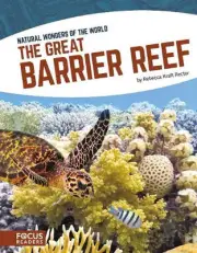 The Great Barrier Reef by Rebecca Kraft Rector (English) Paperback Book