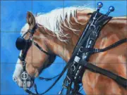 Horse Tile Backsplash Hughbanks Draft Art Ceramic Mural DHA021