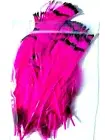 LADY AMHERST - Pheasant Tippet Feathers - FLY TYING MATERIALS - 12 COLORS - NEW!