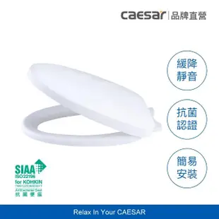 【CAESAR 凱撒衛浴】抗菌緩降馬桶蓋(通用型 / 不含安裝)