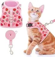 BINGPET Cat Harness with Leash Escape Proof - Fashionable Mesh Cat Dog Walking Harness Leads, Adjustable for Kitties Puppies Small Animals
