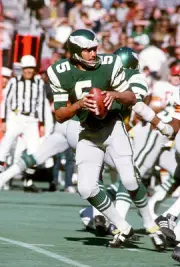 Quarterback Roman Gabriel Philadelphia Eagles drops back to pass - 1974 Photo 13