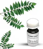 Curry Leaf Essential Oil / 100% Pure Curry Leaf Undiluted Essential Oil Premium Quality (250 ML, NATURAL)
